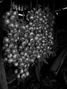 DSCF5279 bw