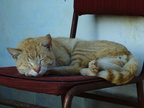 DSCF5292